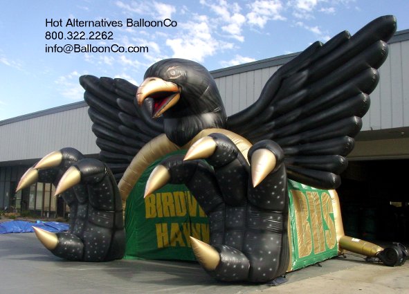 Birdville Hawks Hurst Texas Football Mascot Eagle Tunnel